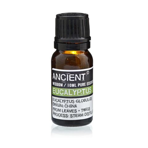10 ml Eucalyptus Essential Oil | Merthyr Tydfil | Why Not Shop Online