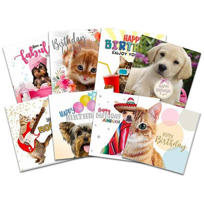 8 Pet Assorted Birthday Cards Box | Merthyr Tydfil | Why Not Shop Online