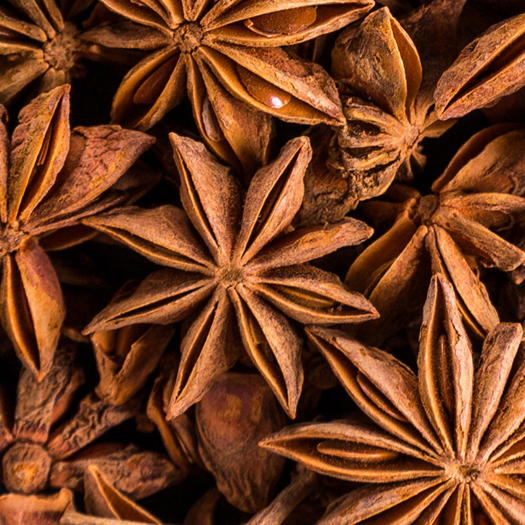 UTC Chacal: Floral Oriental Perfume for Her 55ml | Merthyr Tydfil | Why Not Shop Online