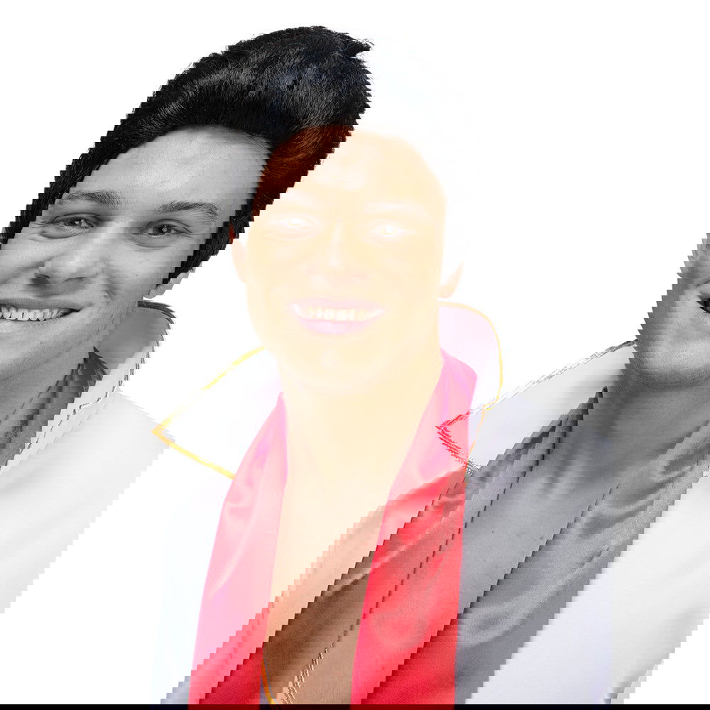 Mens 1950's Black Rocker Wig | Why Not Shop