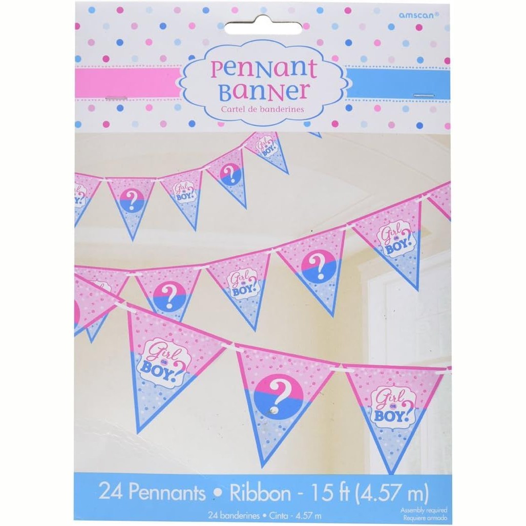 Pennant Flag Gender Reveal Banner 4.5M | Why Not Shop