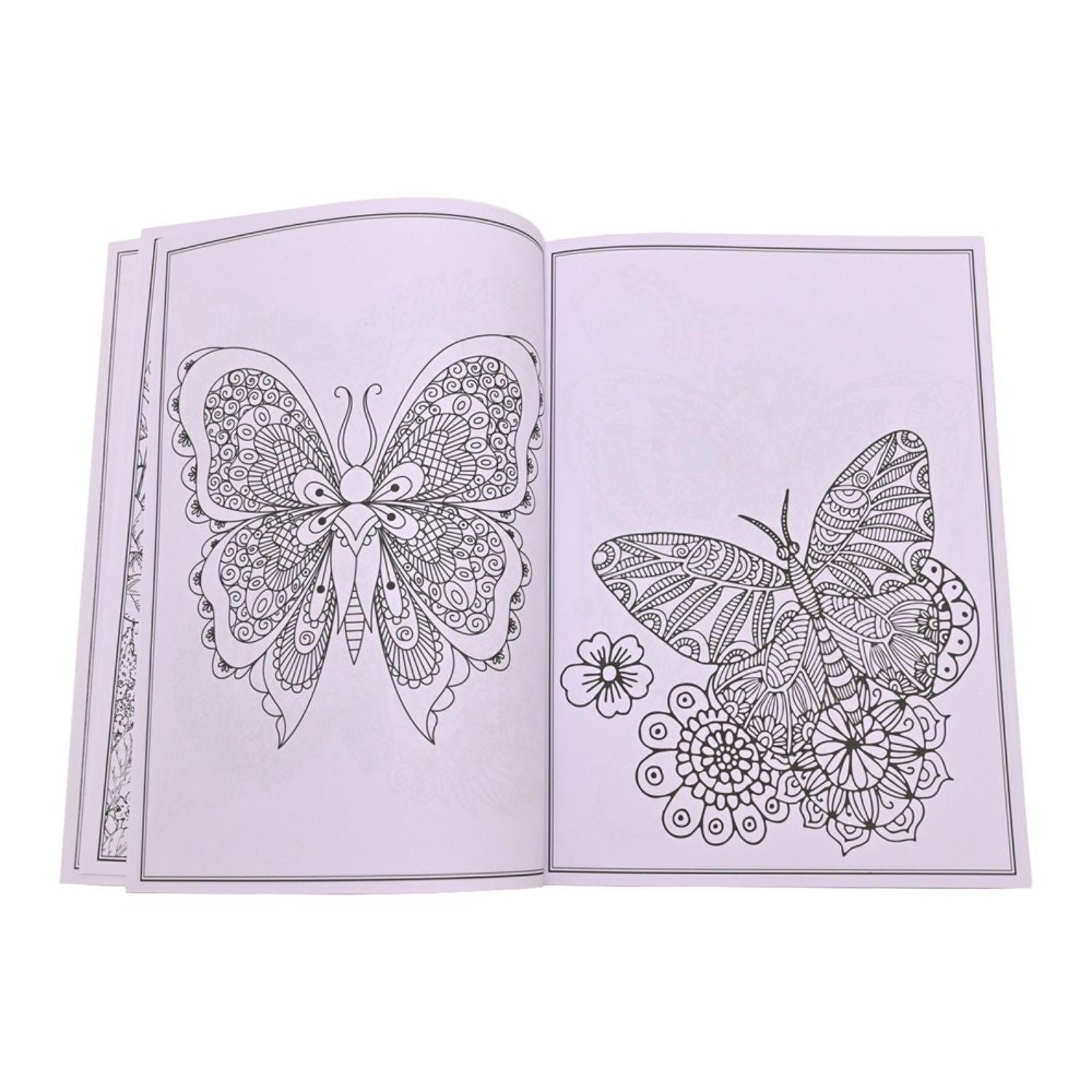 Squiggle Beautiful Butterflies & Birds Colouring Books | Why Not Shop