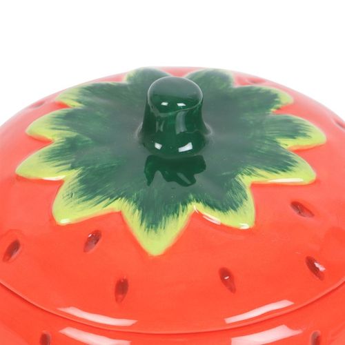 Strawberry Oil Burner | Merthyr Tydfil | Why Not Shop Online