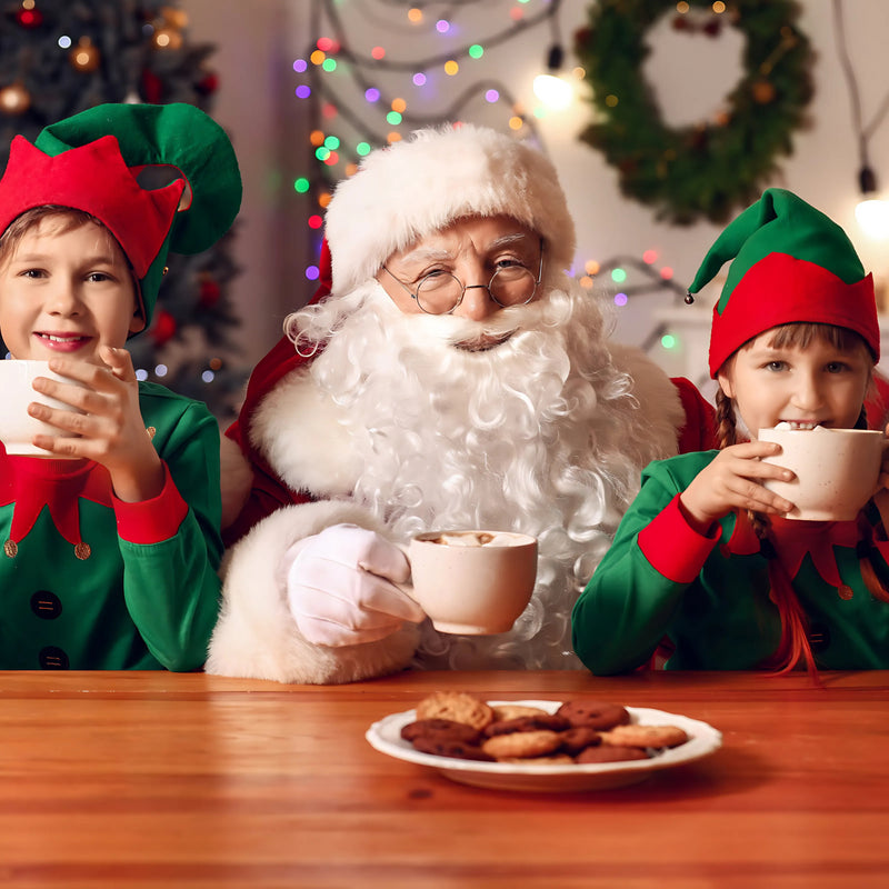 Christmas Fancy Dress | Why Not Shop