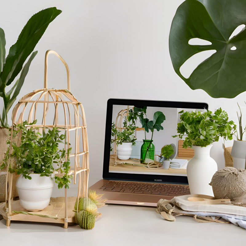 Home And Garden Accessories | Why Not Shop