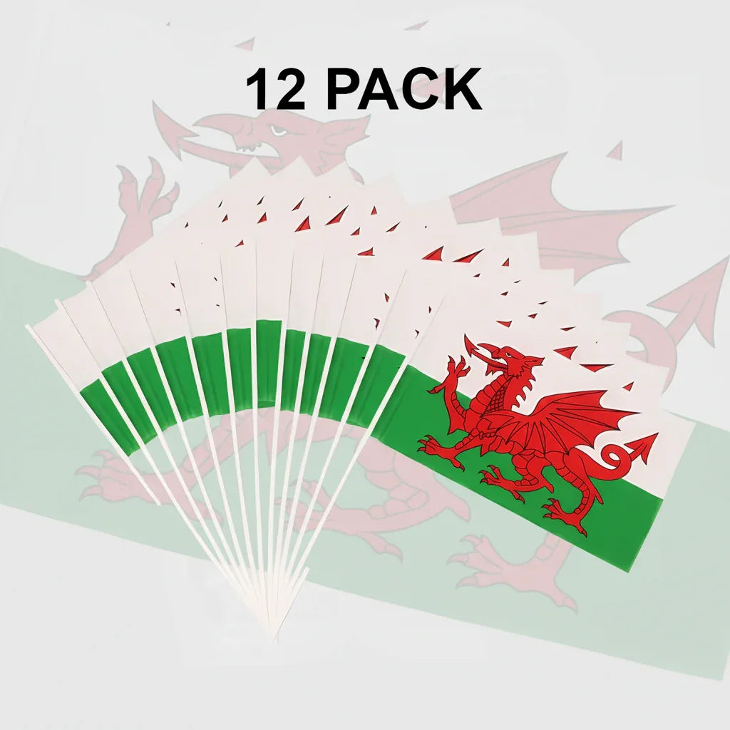 12 Pack Welsh Hand Waving Flags 30x17cm - Why Not Shop