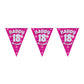 18th Birthday Holographic Sparkling Pink Bunting 3.9M | Why Not Shop