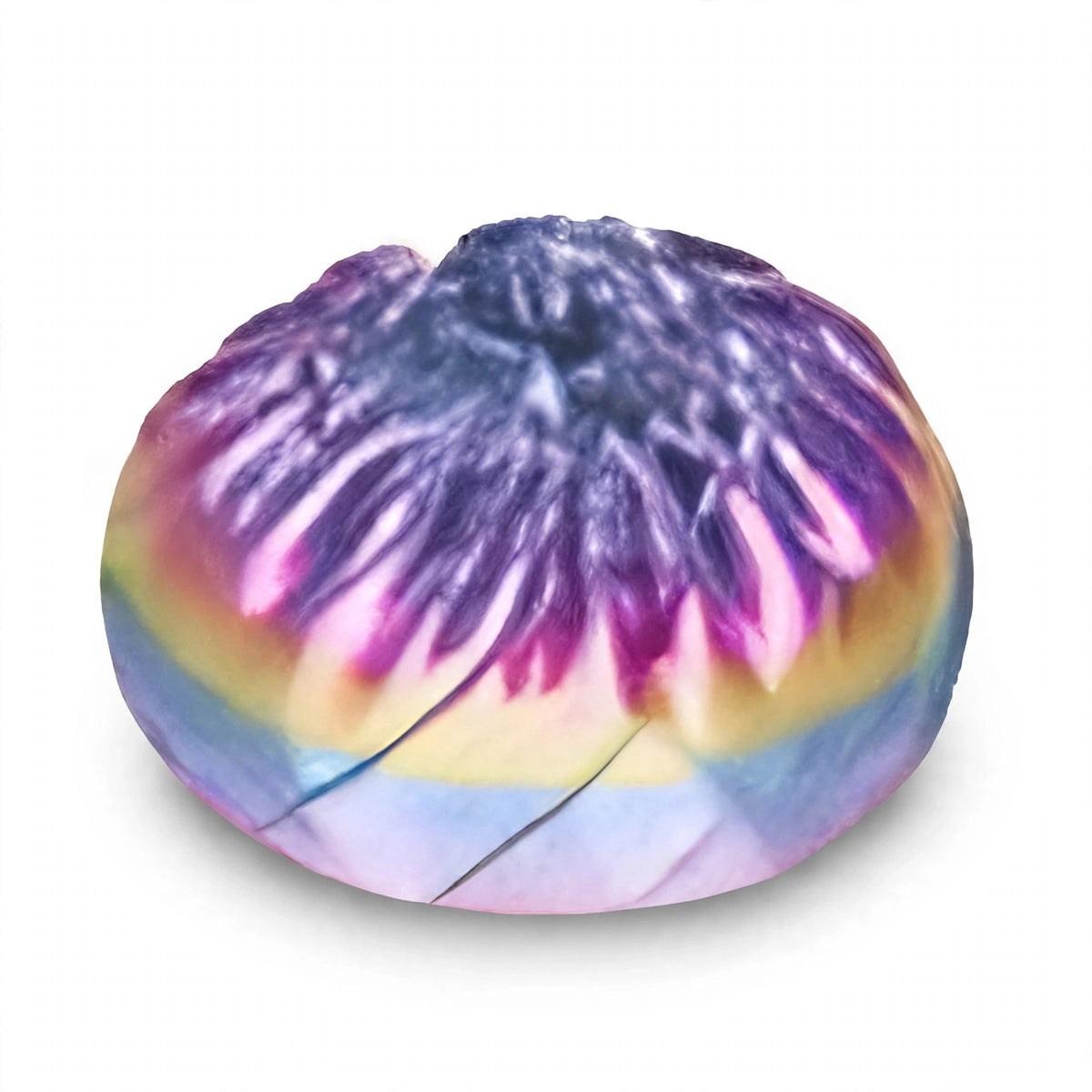 Close-up view of Supa 3D Fidget Dumpling plastic sensory toy