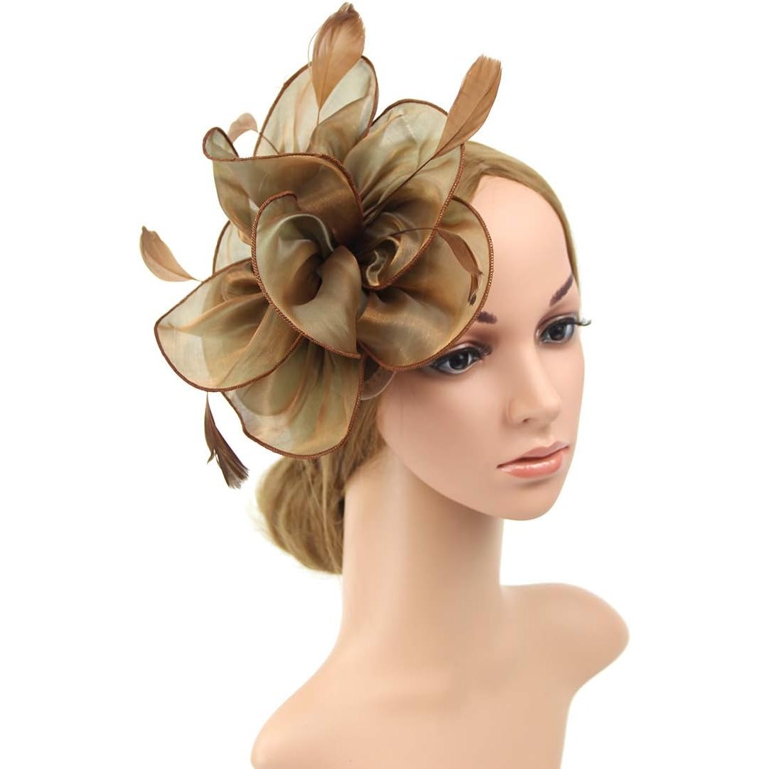 Womens Brown Fascinator With Feathers on a Headband and a Clip | Merthyr Tydfil | Why Not Shop Online