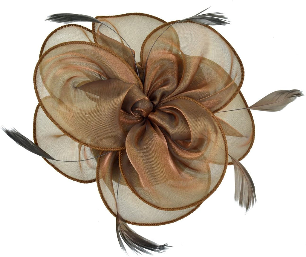 Womens Brown Fascinator With Feathers on a Headband and a Clip | Merthyr Tydfil | Why Not Shop Online