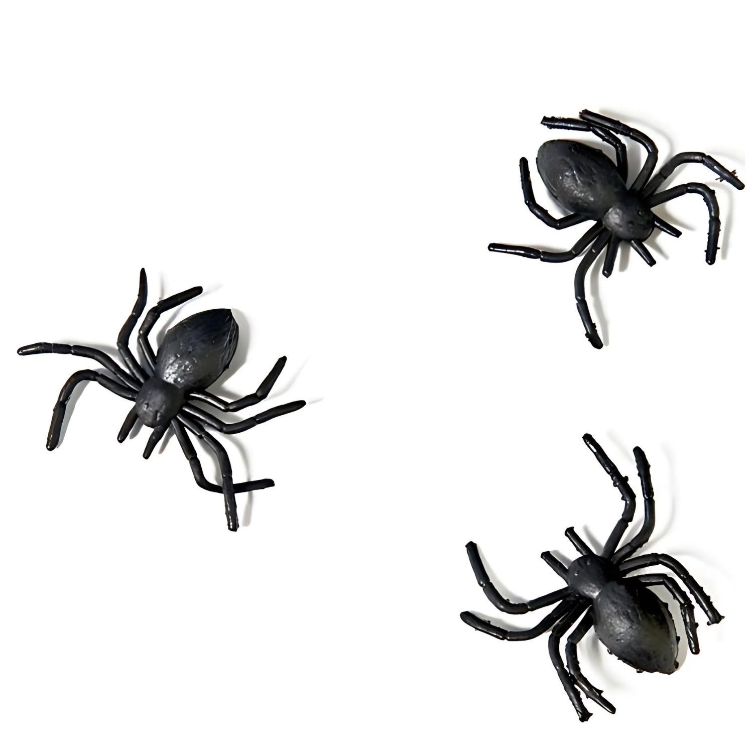 Black Plastic Spiders Pack of 10 | Why Not Shop