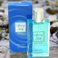 DM Fragrances Spring Falls Mens 100ml EDT Spray | Why Not Shop