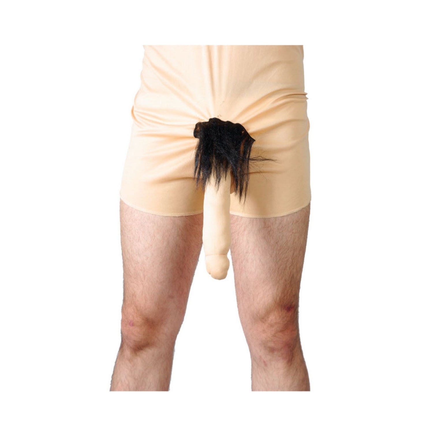 Hilarious Willie Pants: Novelty Costume Accessory Adult One Size | Merthyr Tydfil | Why Not Shop Online