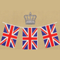 PVC Plastic Bunting 4m Union Jack Party 11 Flags | Why Not Shop