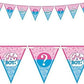 Pennant Flag Gender Reveal Banner 4.5M | Why Not Shop