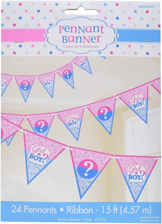 Pennant Flag Gender Reveal Banner 4.5M | Merthyr Tydfil | Why Not Shop Online