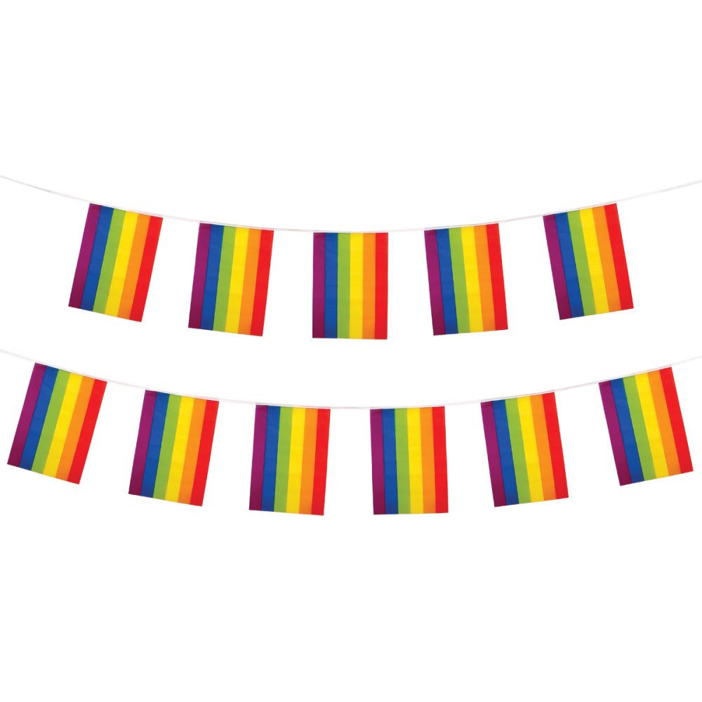 Rainbow Gay Pride Bunting - 11 Flags 31x20cm/4m | Why Not Shop