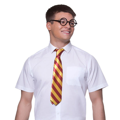 School Boy Wizard Harry Potter Style Set - Tie And Glasses | Merthyr Tydfil | Why Not Shop Online