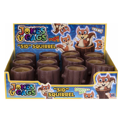 Sid The Squirrel Sensory Squeeze Toys | Why Not Shop