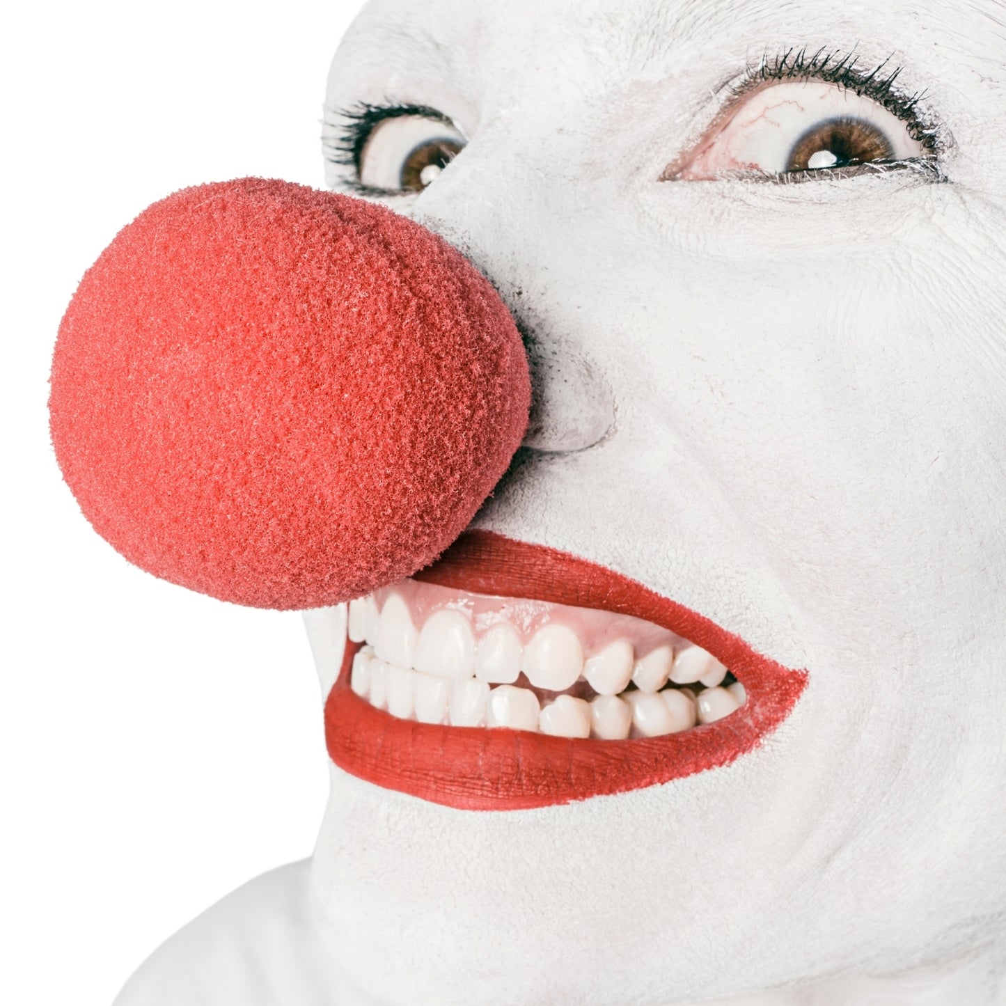 Red Sponge Noses | Merthyr Tydfil | Why Not Shop Online