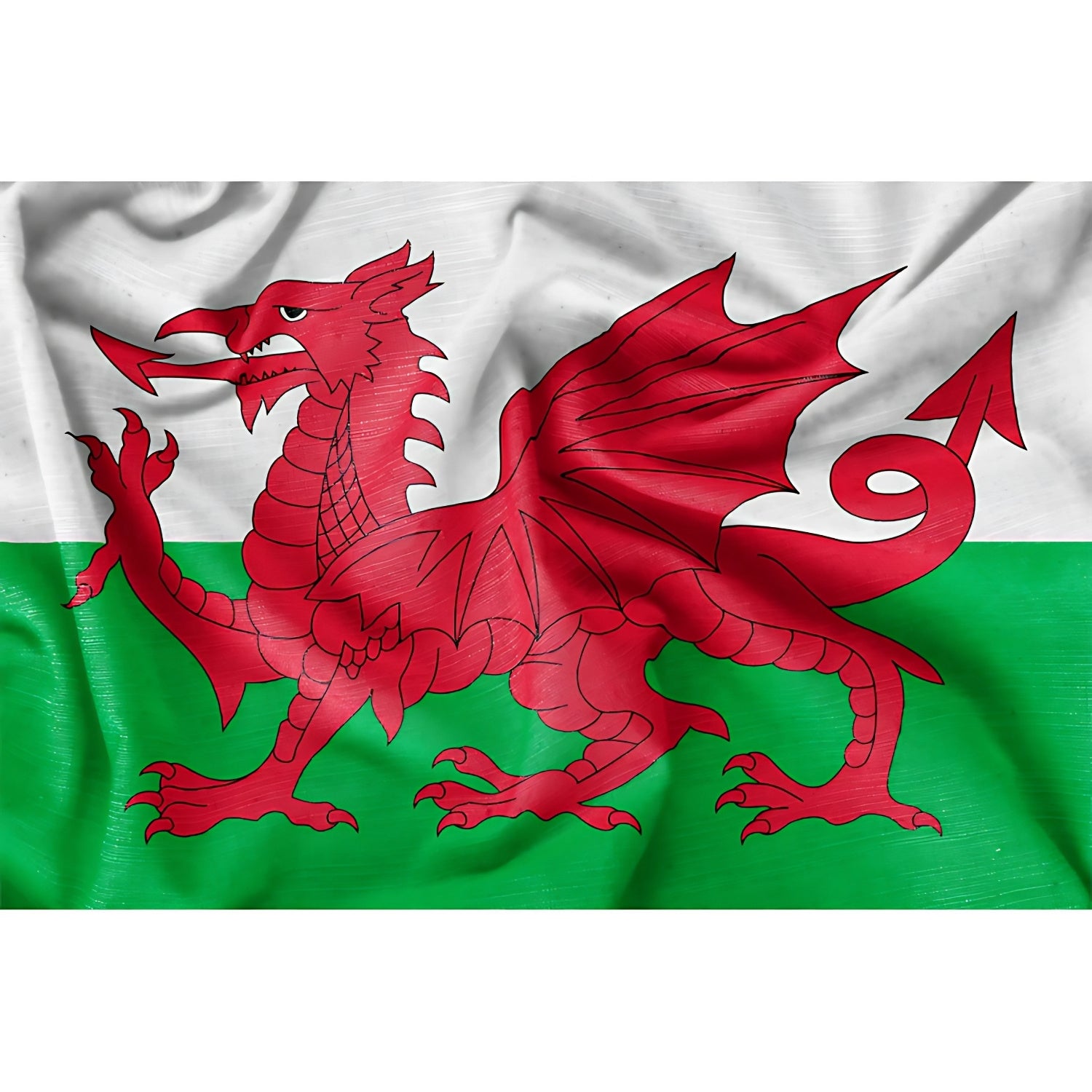 Ultra Heavy Duty Welsh Flag 5ft x 3ft | Merthyr Tydfil | Why Not Shop Online