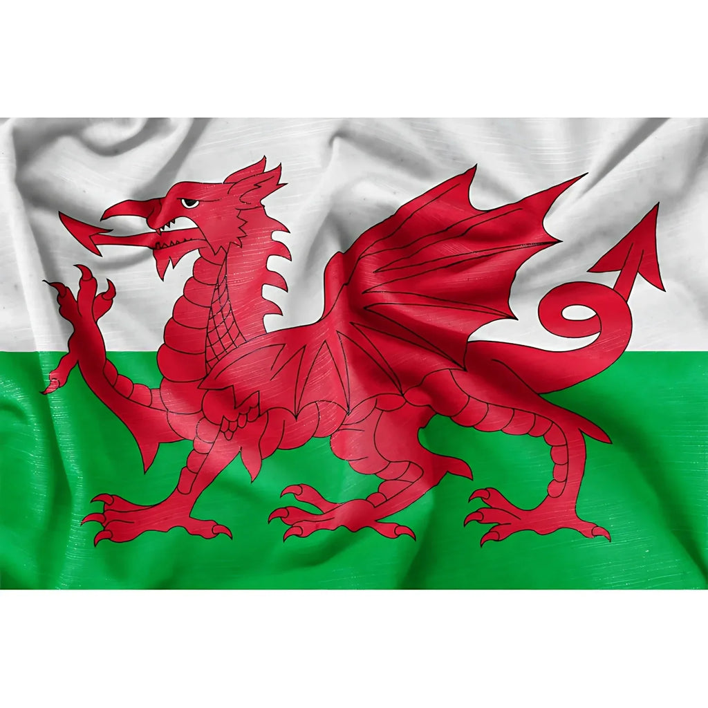 Ultra Heavy Duty Welsh Flag 3Ft X 2Ft - Why Not Shop