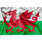 Ultra Heavy Duty Welsh Flag 3Ft X 2Ft - Why Not Shop
