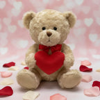 Valentines Bear With Red Heart 25cm - Why Not Shop