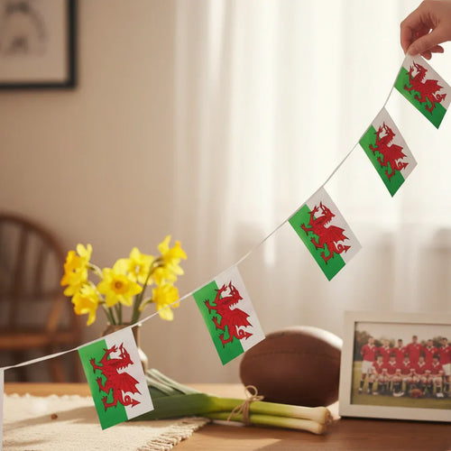 Wales Welsh Bunting 10M 20 Flags 31X20Cm - Why Not Shop