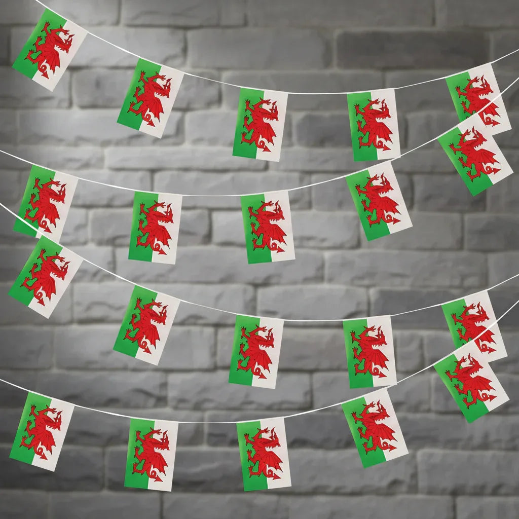 Wales Welsh Bunting 10M 20 Flags 31X20Cm - Why Not Shop