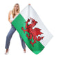 Welsh Flag, 5ft x 3ft, 152cm x 91cm, Polyester | Why Not Shop