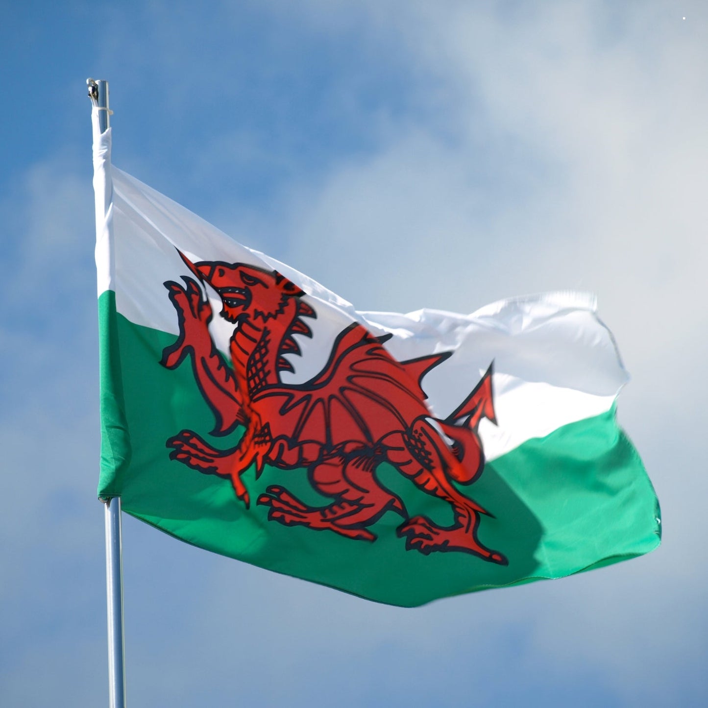 Welsh Flag, 5ft x 3ft, 152cm x 91cm, Polyester | Why Not Shop