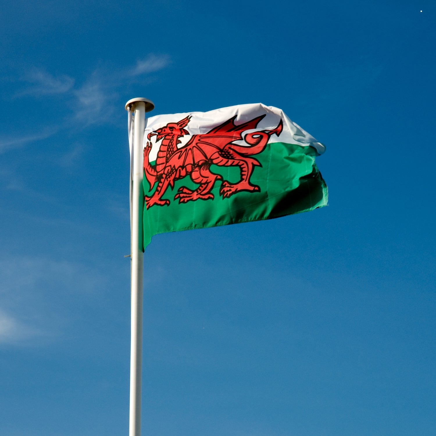 Welsh Flag, 5ft x 3ft, 152cm x 91cm, Polyester | Why Not Shop