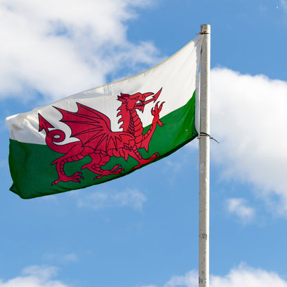 Welsh Flag, 5ft x 3ft, 152cm x 91cm, Polyester | Why Not Shop