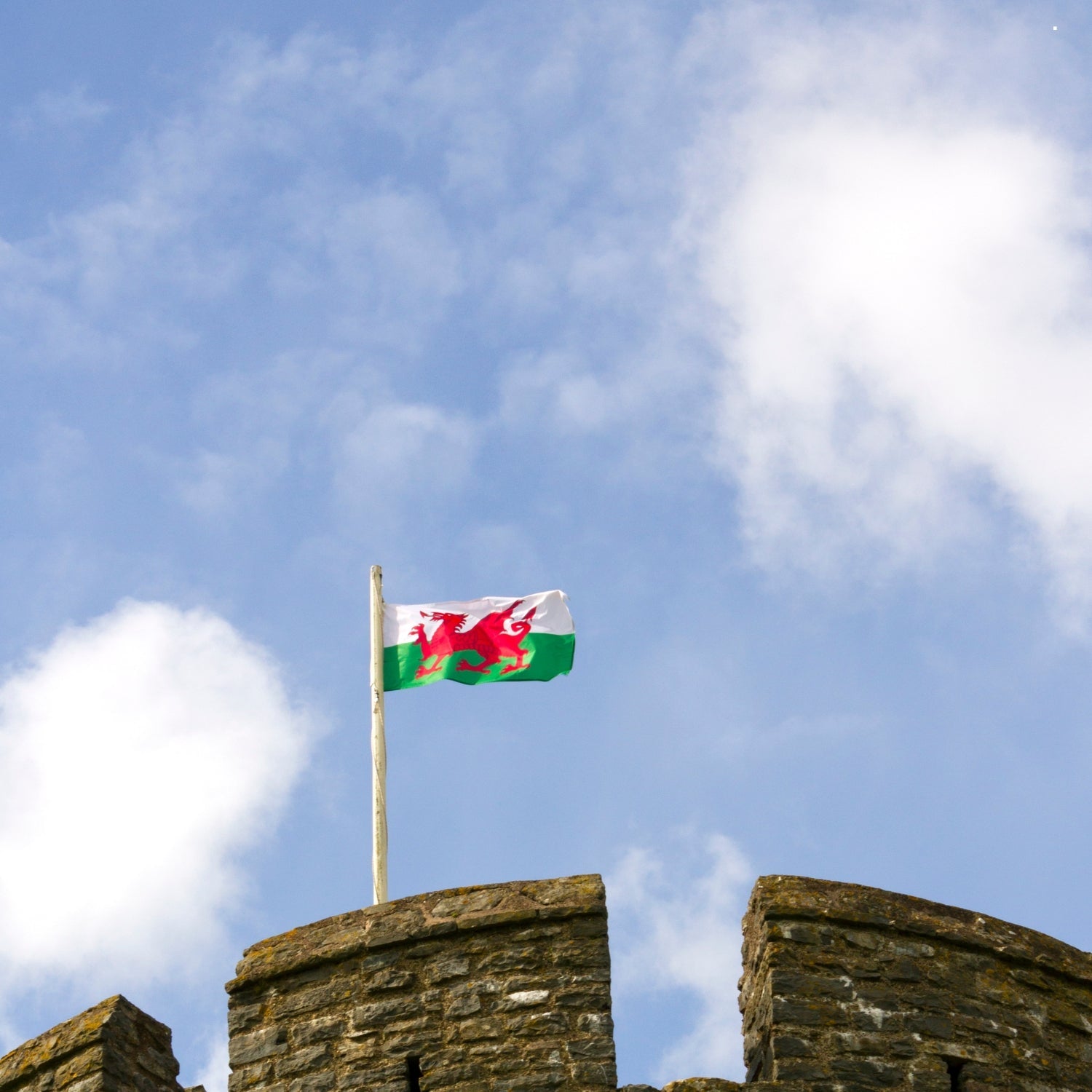 Welsh Flag, 5ft x 3ft, 152cm x 91cm, Polyester | Why Not Shop