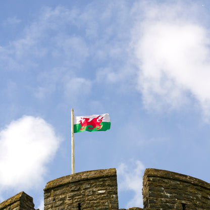 Welsh Flag, 5ft x 3ft, 152cm x 91cm, Polyester | Why Not Shop