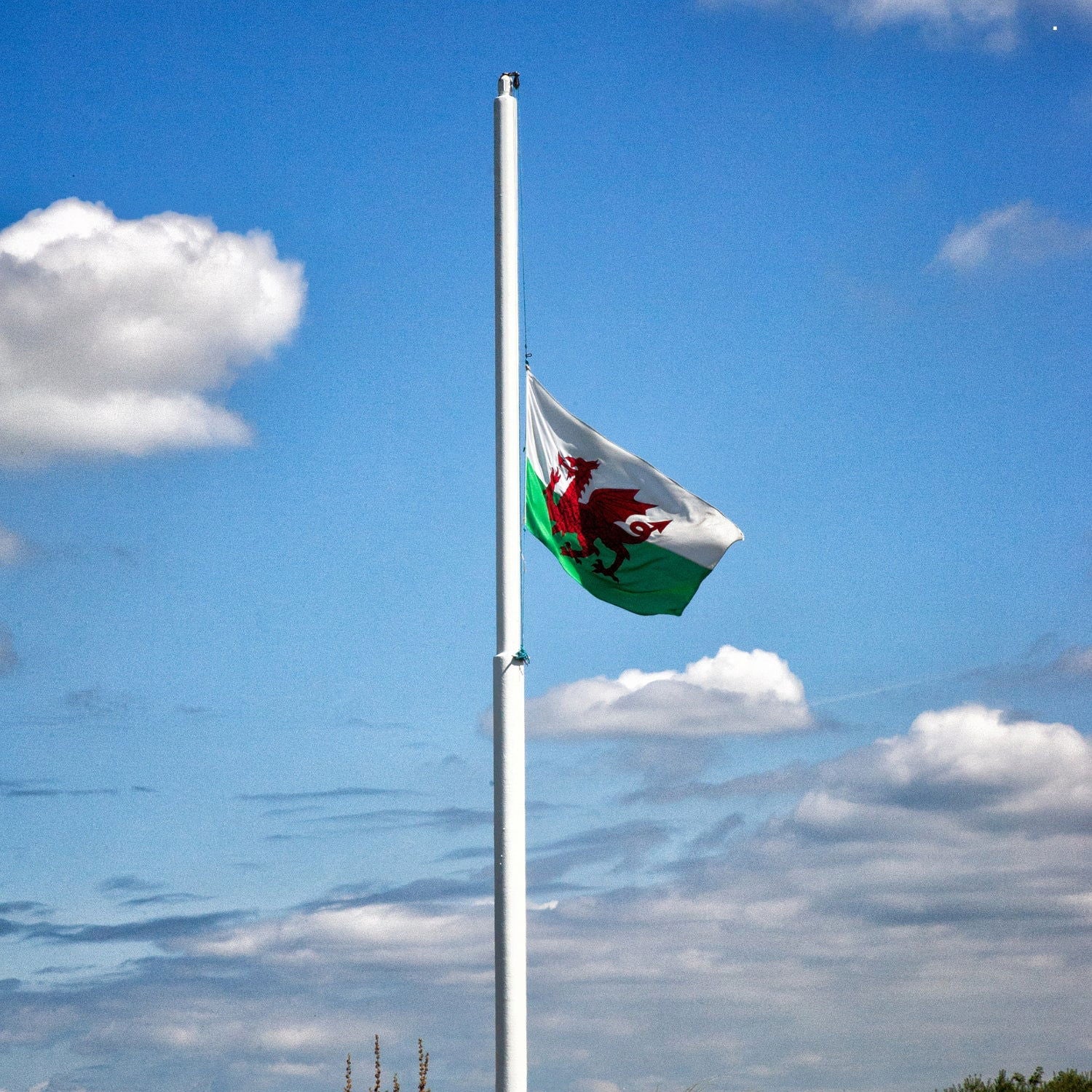 Welsh Flag, 5ft x 3ft, 152cm x 91cm, Polyester | Why Not Shop