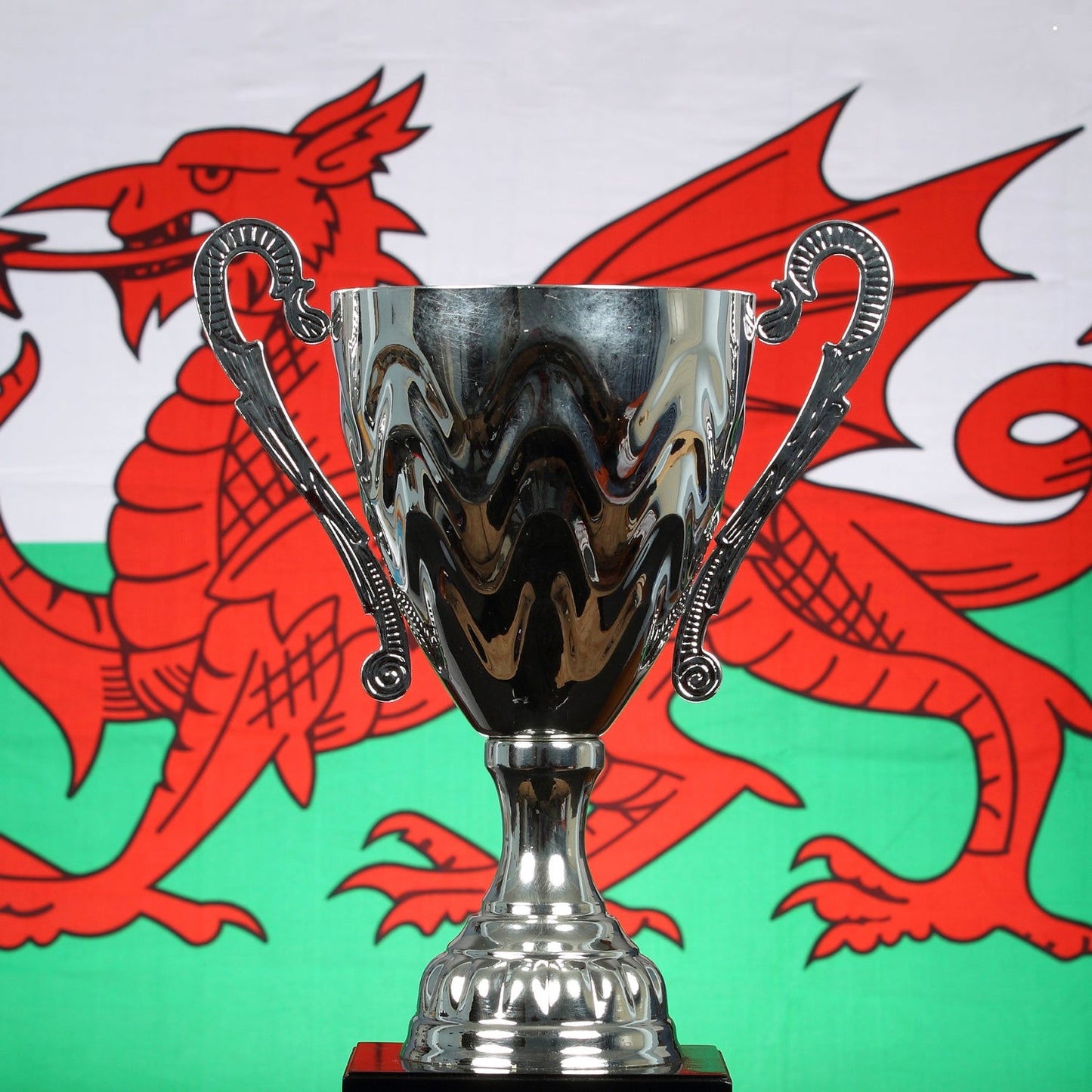 Welsh Flag, 5ft x 3ft, 152cm x 91cm, Polyester | Why Not Shop