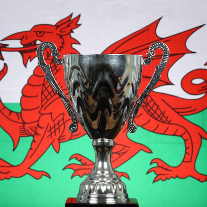 Welsh Flag, 5ft x 3ft, 152cm x 91cm, Polyester | Why Not Shop