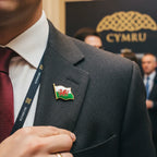 Welsh Flag Metal Pin Lapel Badges Gold - Why Not Shop