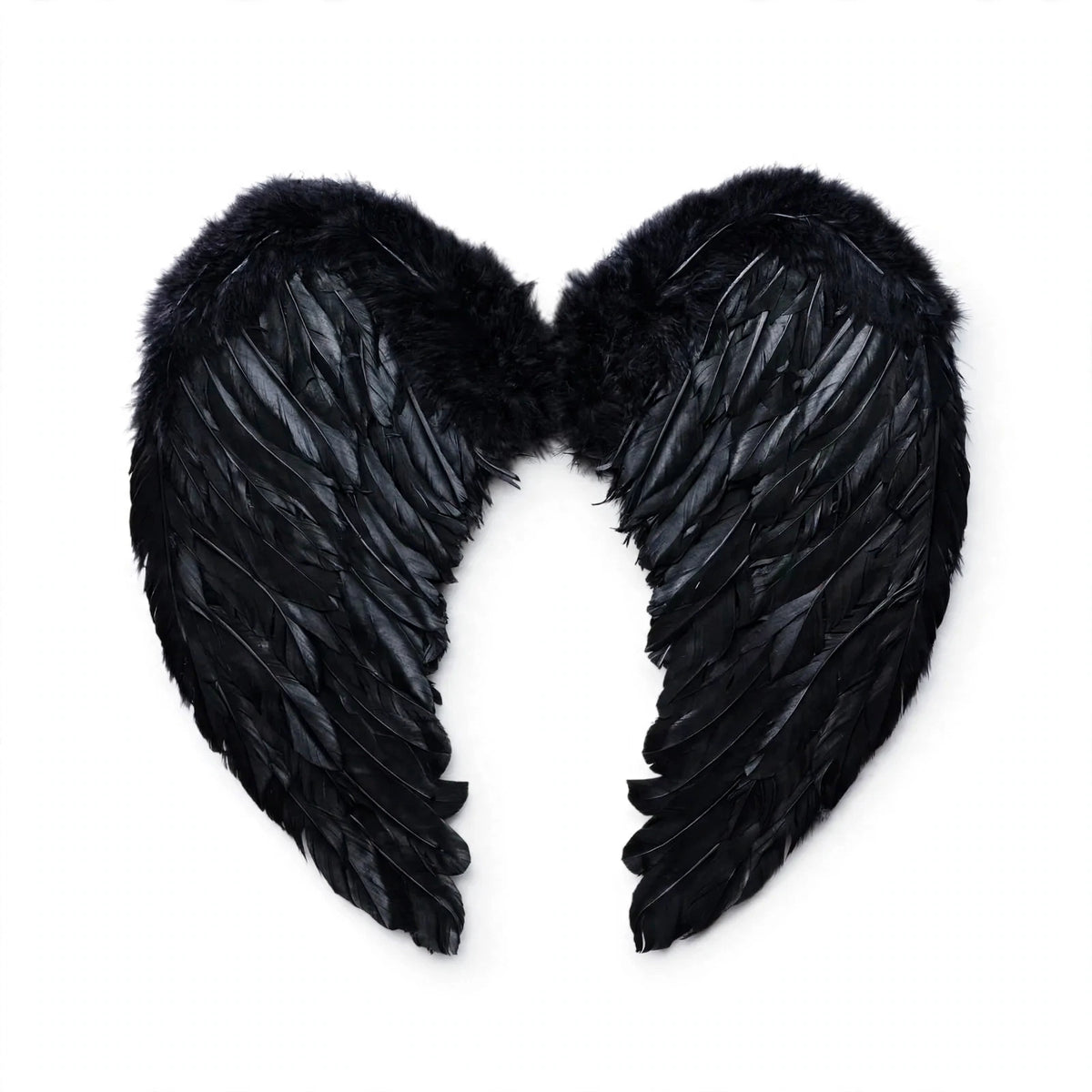 Adult black feather angel wings with elastic back straps