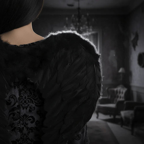 Adult Black Feather Angel Wings 44cm x 34cm - Why Not Shop