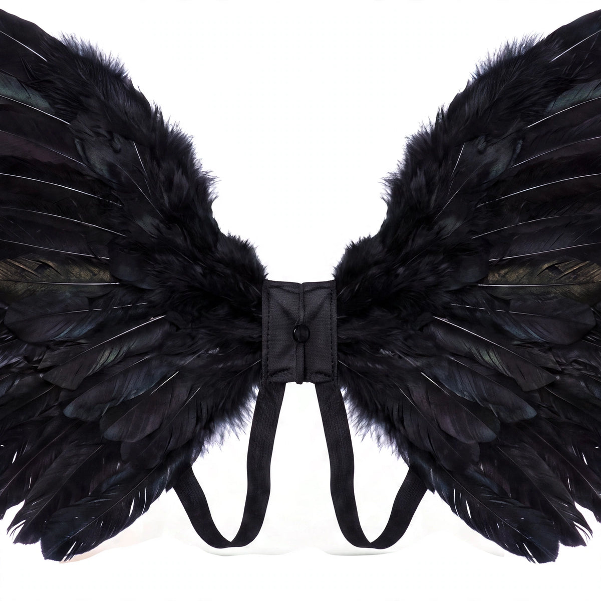 Close-up view of black feather angel wings with elastic straps