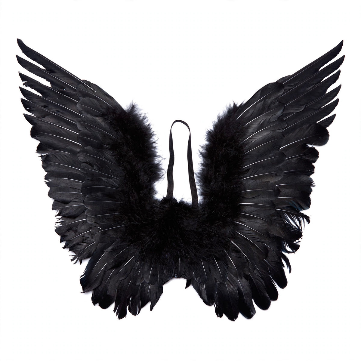 Detail view of Adults Small Black Feather Angel Wings