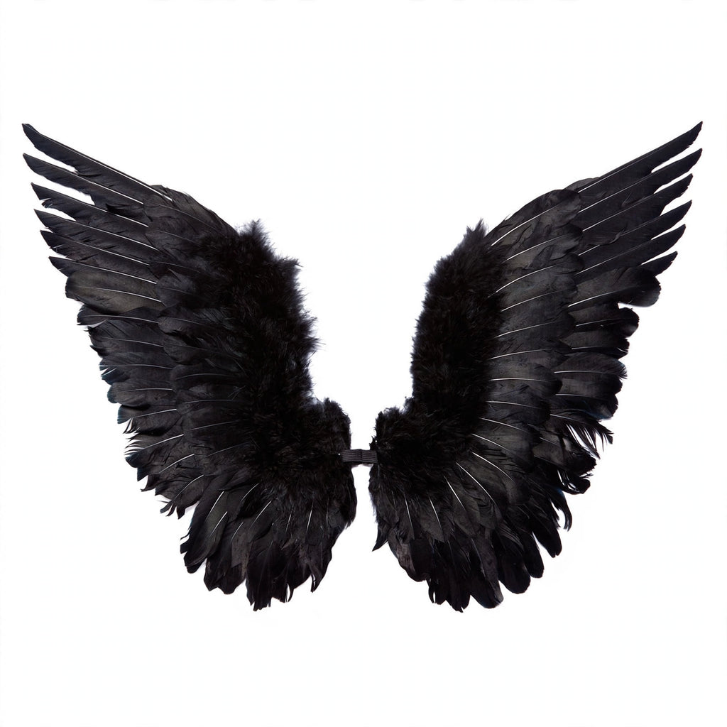 Adults Small Black Feather Angel Wings by Wicked Costumes