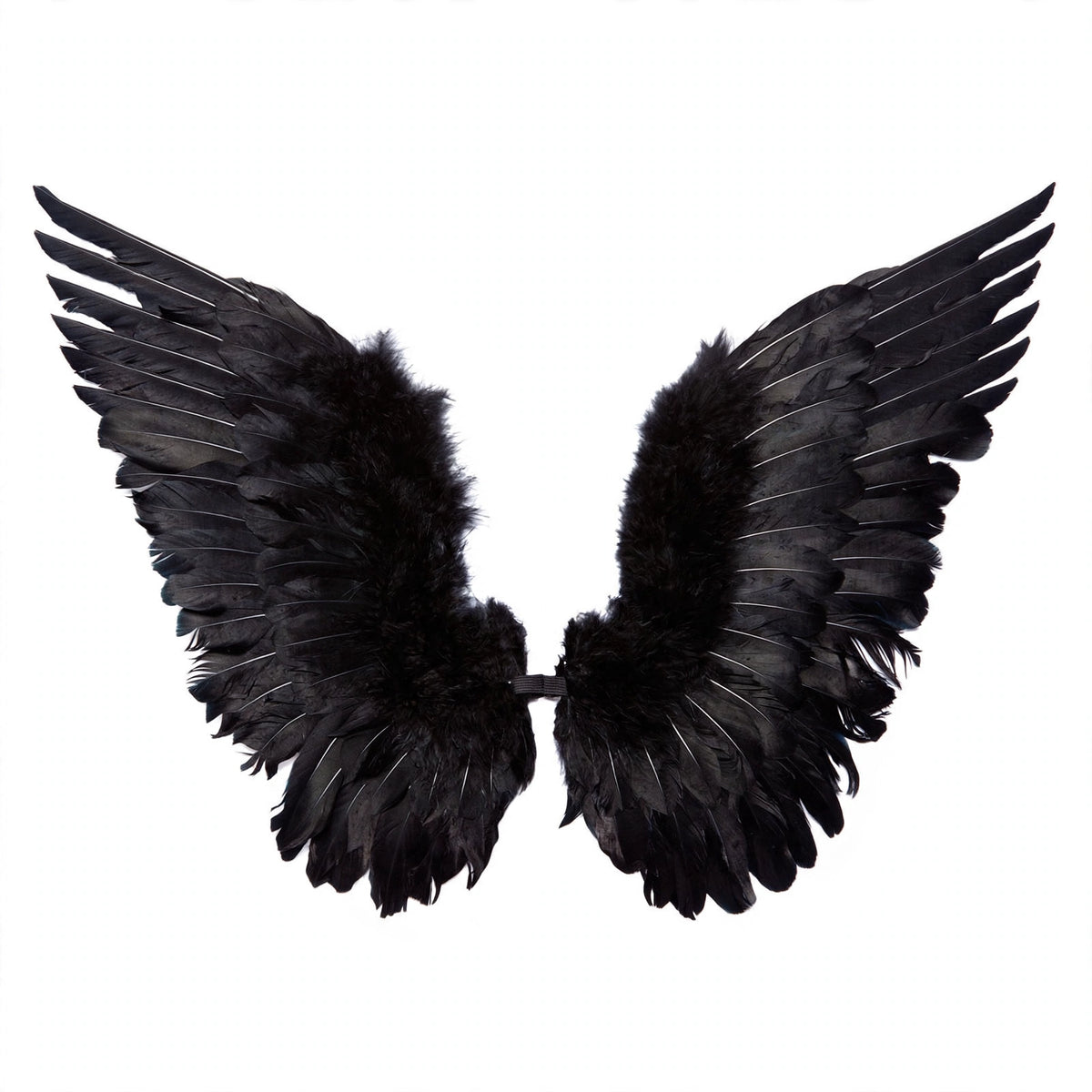 Adults Small Black Feather Angel Wings by Wicked Costumes
