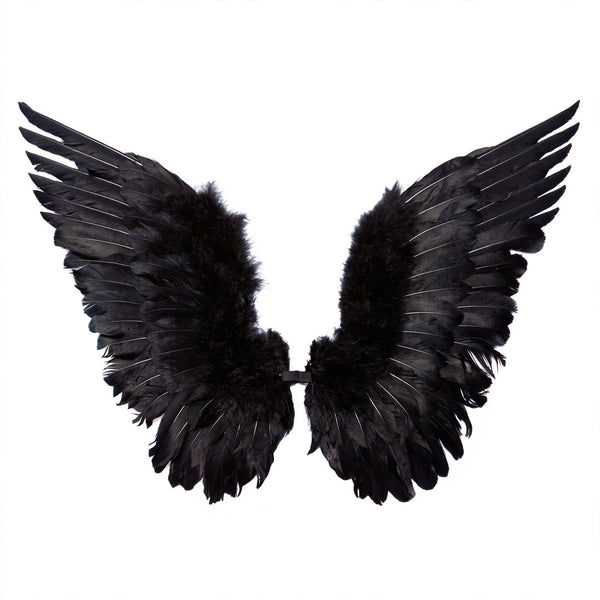 Adults Small Black Feather Angel Wings by Wicked Costumes