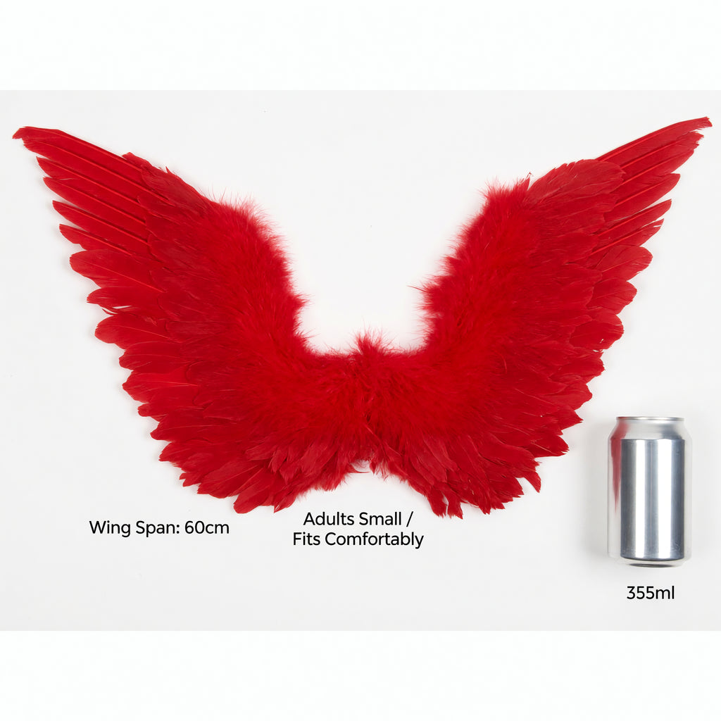 Adults Small Red Feather Angel Wings Wing Span 36x60cm