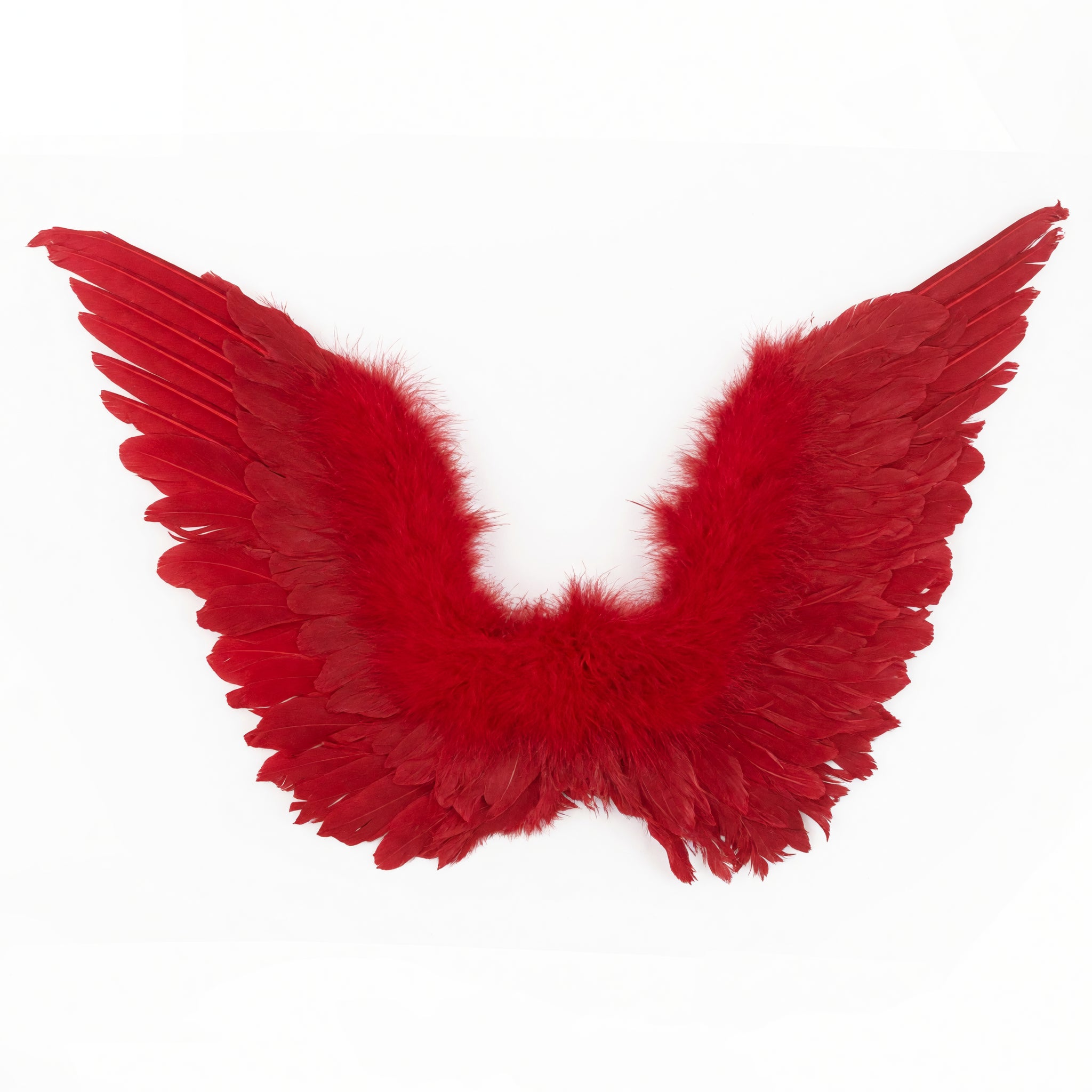 Adults Small Red Feather Angel Wings Wing Span 36x60cm