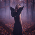 Adults Small Black Feather Angel Wings Wing Span 36x60cm - Why Not Shop